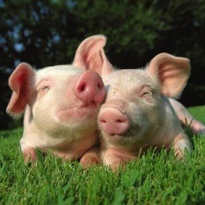 Meet your Posher, Keely